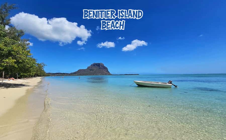 Mauritius: Benitier Island - Swim Dolphins - Speedboat & BBQ - How the $88 price compares with the experience