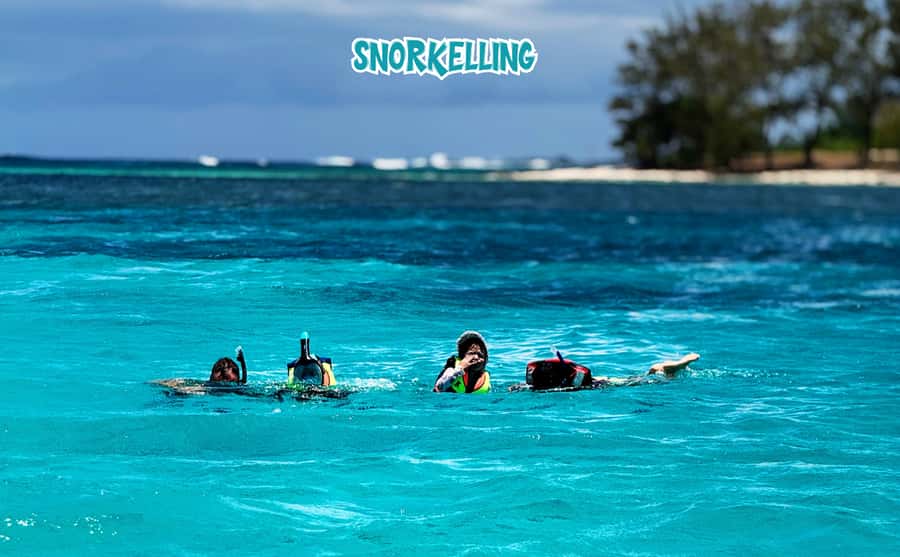 Mauritius: Benitier Island - Swim Dolphins - Speedboat & BBQ - Practical advice for a smoother day