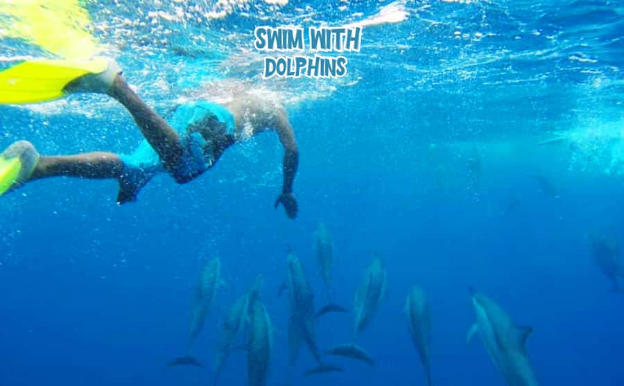 Mauritius: Benitier Island - Swim Dolphins - Speedboat & BBQ - Searching for dolphins near Black River