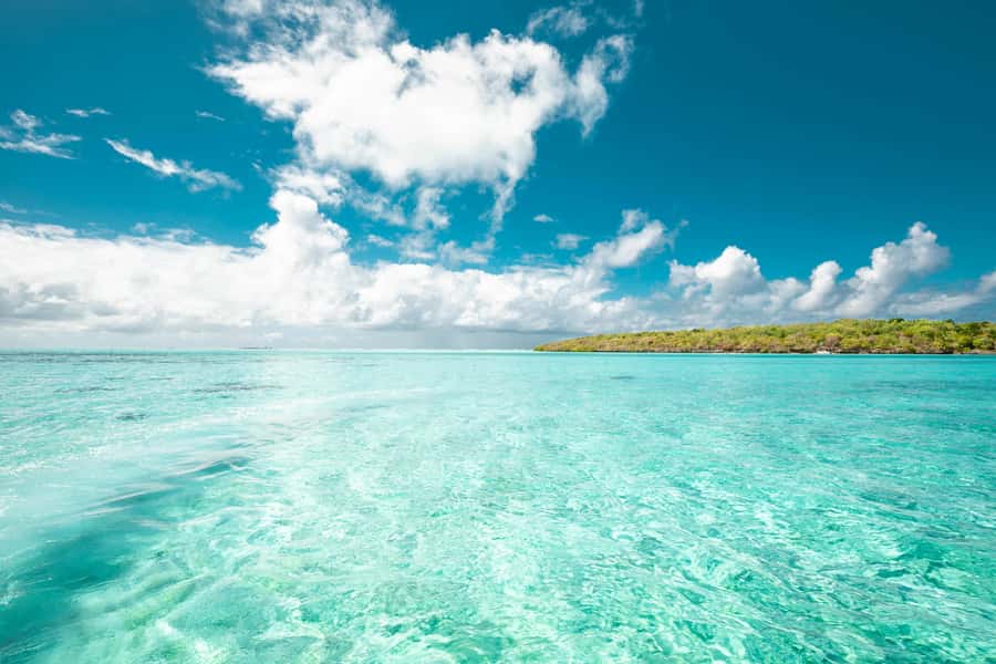 Mauritius: Full-Day Speedboat Tour to Ile aux Cerfs & BBQ - Key points at a glance