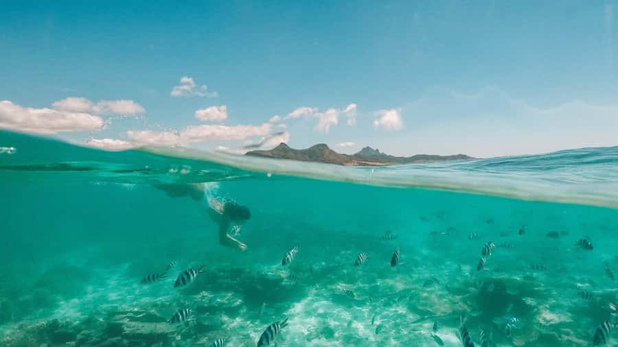 Mauritius: Full-Day Speedboat Tour to Ile aux Cerfs & BBQ - Riding upstream to Grand River South East