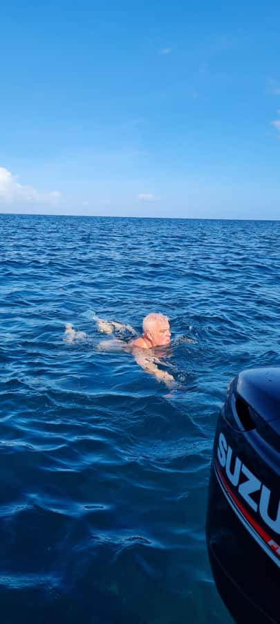 Mauritius: Snorkel and Swim with Dolphins on Speedboat Tour - Key points to know before you book