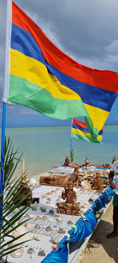 Mauritius: Snorkel and Swim with Dolphins on Speedboat Tour - Is $49 a good value?