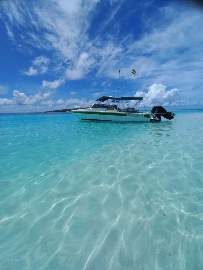 Mauritius: Snorkeling with turtles Le Transporteur speedboat - What makes Trou aux Biches appealing