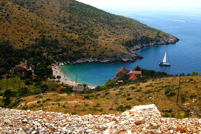 Mesmerizing Hvar speed boat tour with optional wine tasting - Green Lagoon and the fish-feeding chance