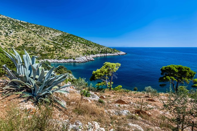 Mesmerizing Hvar speed boat tour with optional wine tasting - What the six-hour schedule means for you