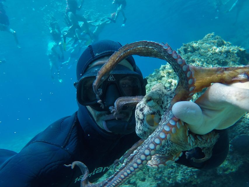 Milos: Half-Day Speedboat Cruise to Klefiko with Snorkeling - Why this cruise works well for Milos