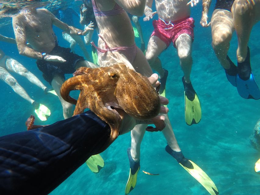 Milos: Half-Day Speedboat Cruise to Klefiko with Snorkeling - What happens when the north wind arrives