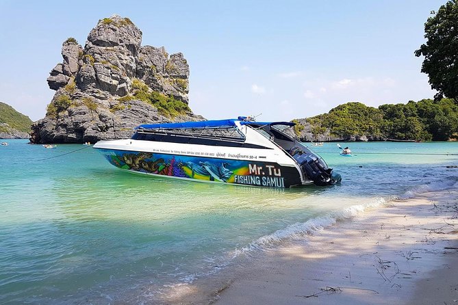 Mr. Tu Day Trip to Angthong Marine Park by Speed Boat from Koh Samui - Key points to know before booking