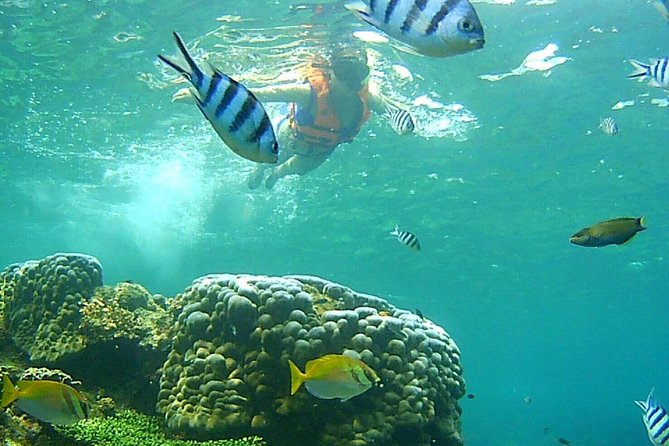 Mr. Tu Day Trip to Angthong Marine Park by Speed Boat from Koh Samui - The Emerald Lake view from Koh Mae Ko