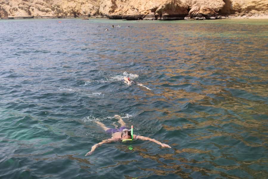 Muscat: Dolphin Watching and Snorkeling Tour By Speed Boat - Starting at Marina Bandar Al Rowdha at 9:30 a.m.