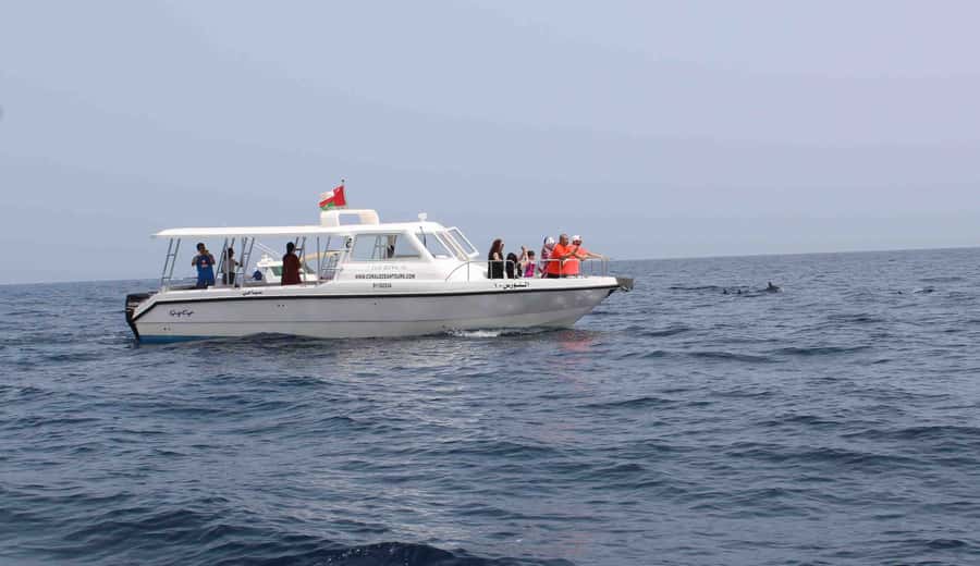 Muscat: Dolphin Watching and Snorkeling Tour By Speed Boat - What the Underwater Stop Offers