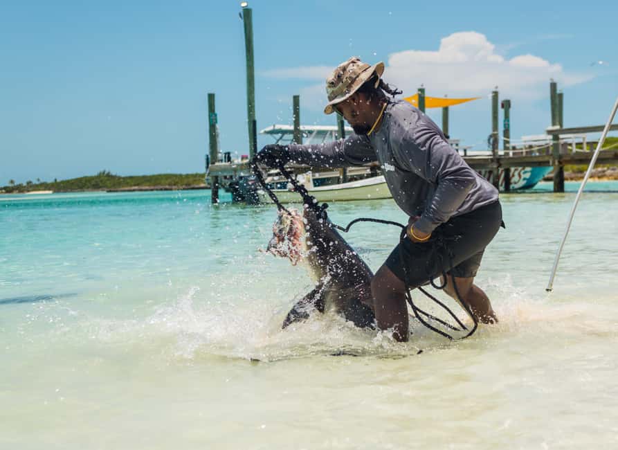 Nassau: Exuma Powerboat Day Trip - Key points at a glance