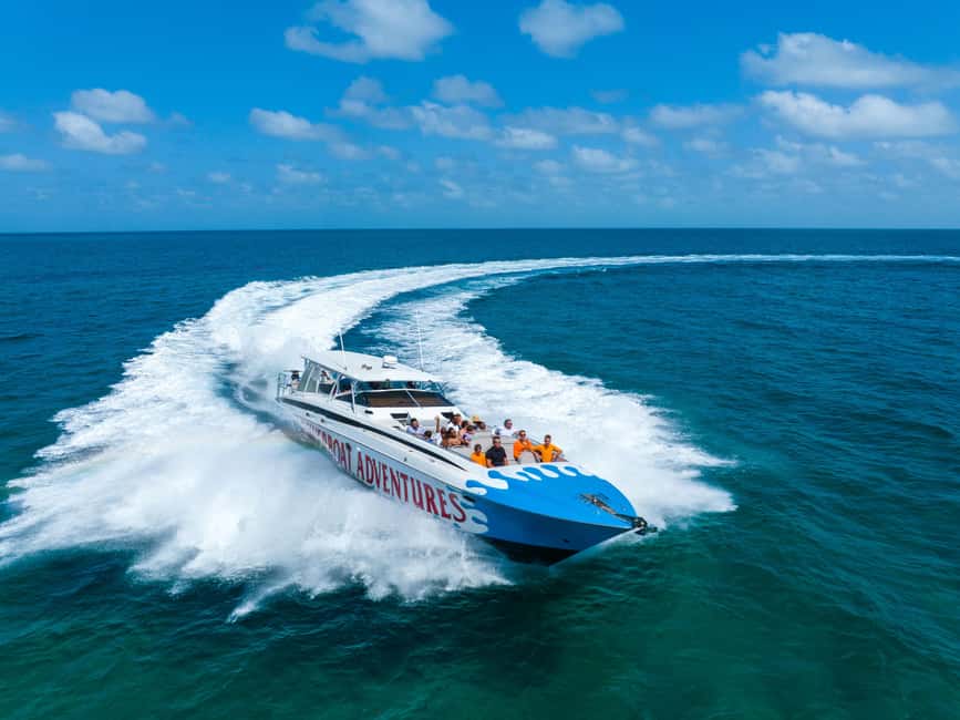 Nassau: Exuma Powerboat Day Trip - Meet the pigs, iguanas, stingrays, and sharks