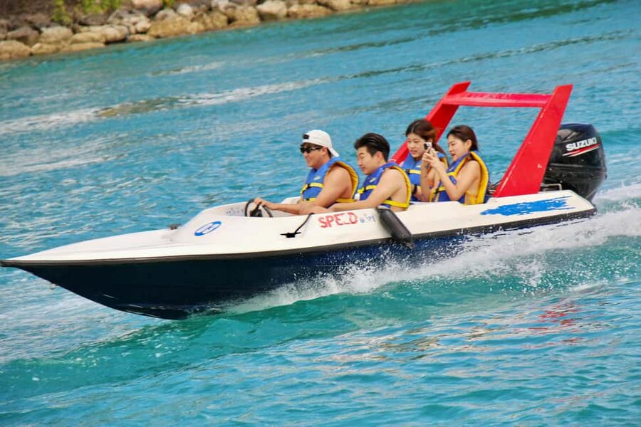 Nassau: Self-Drive Speedboat Ride and Pig Swimming Encounter - From Nassau to Anthol Island by speedboat