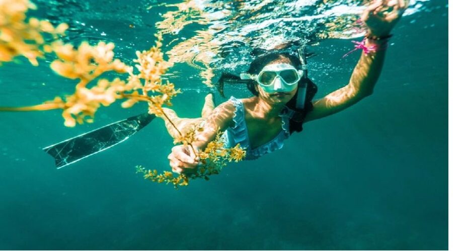 Nha Trang: Island-Hopping & Snorkeling Day Trip by Speedboat - Yen Island and the second look underwater