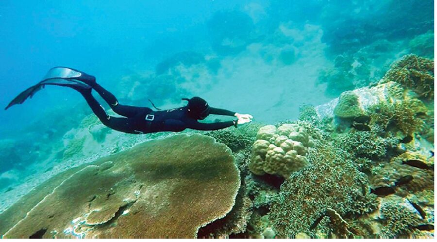 Nha Trang: Island-Hopping & Snorkeling Day Trip by Speedboat - What to pack for the six-hour outing