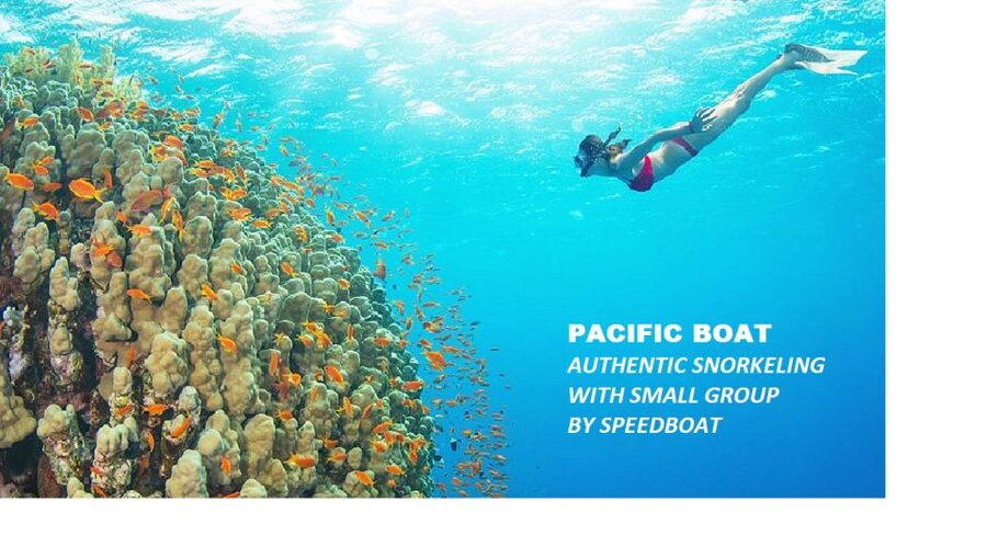 Nha Trang: Island-Hopping & Snorkeling Day Trip by Speedboat - Morning pickup and the ride to Cau Da Harbor