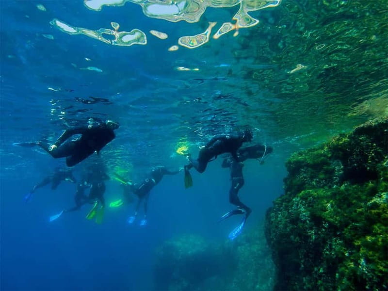 Nice: Snorkeling Speedboat Tour in Villefranche Bay - What makes this snorkeling trip worth considering
