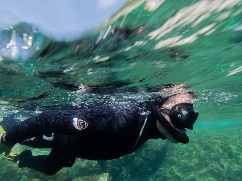 Nice: Snorkeling Speedboat Tour in Villefranche Bay - Should you book the Villefranche snorkeling tour?