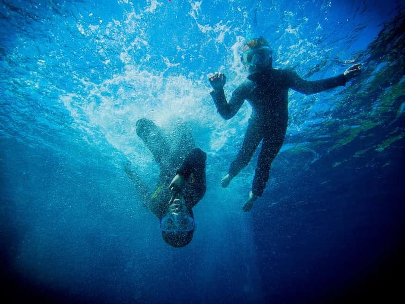 Nice: Snorkeling Speedboat Tour in Villefranche Bay - One hour in the Mediterranean
