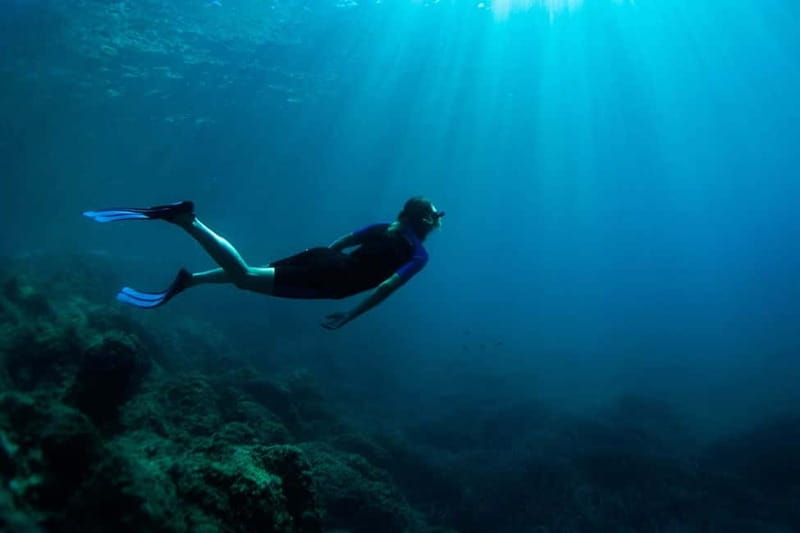 Nice: Snorkeling Speedboat Tour in Villefranche Bay - Is $70 a fair price?