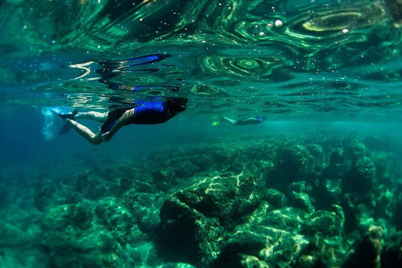 Nice: Snorkeling Speedboat Tour in Villefranche Bay - The speedboat ride from Nice to Villefranche