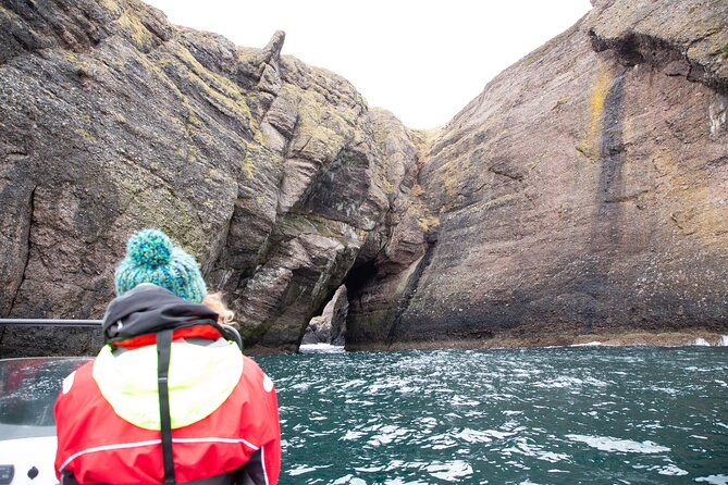 Northern Islands RIB Tour - The Rabbit Islands, Caves, and Tunnel Arch