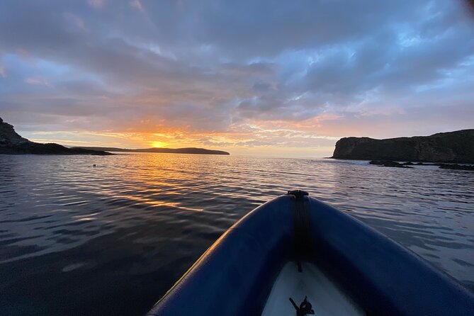 Northern Islands RIB Tour - Wildlife Watching From a Fast RIB