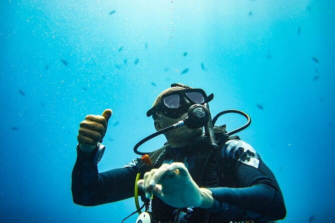 Nusa Penida Private Diving Tour by Speedboat - Key points to know before booking
