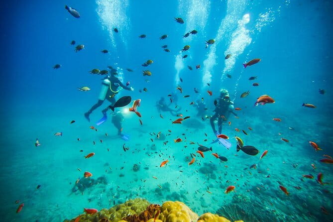 Nusa Penida Private Diving Tour by Speedboat - Lunch at La Bianca beside Lembongan Lagoon