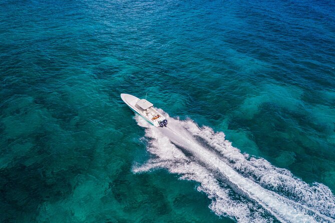 Ocho Rios Powerboat & Dunn’s River Falls Adventure - A Jamaican lunch and a welcome break