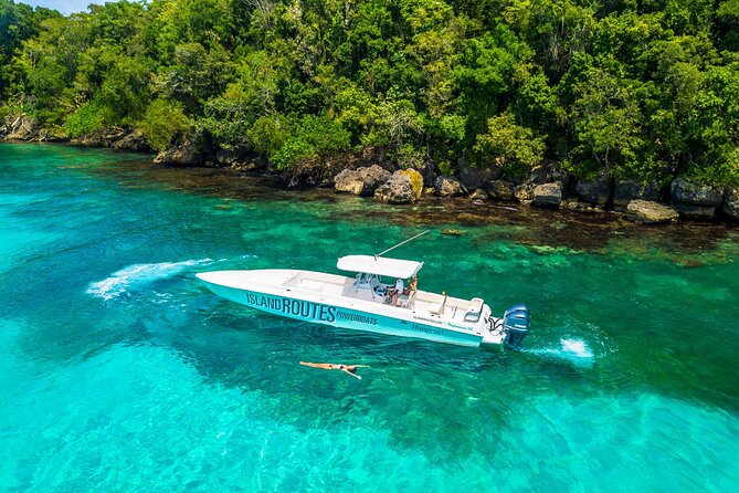 Ocho Rios Powerboat & Dunn’s River Falls Adventure - Who should book this Ocho Rios tour
