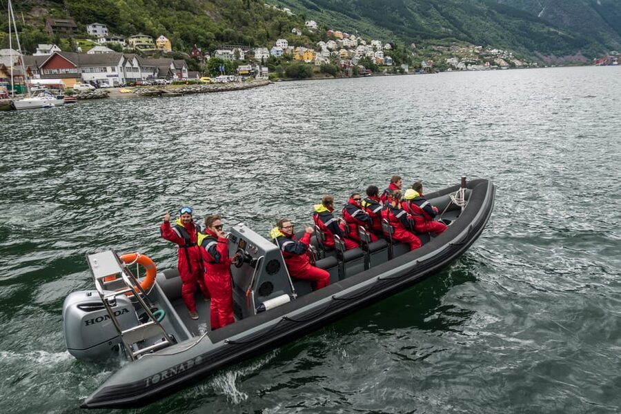 Odda: RIB Boat Tour on the Hardangerfjord - Wildlife, stories, and the pace of the ride
