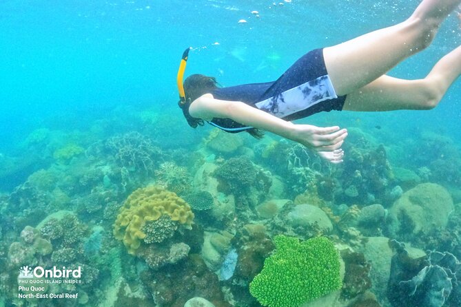 OnBird - Private family KID-FRIENDLY Snorkeling trip by speedboat in Phu Quoc - Coral Mountain and Coral Steep Reef for easier viewing