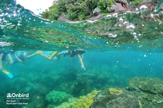 OnBird - Private family KID-FRIENDLY Snorkeling trip by speedboat in Phu Quoc - May Rut Island provides the easy finish