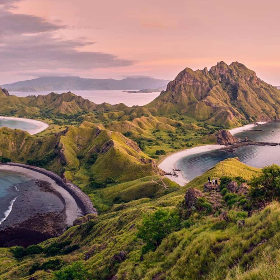 One-Day Komodo Tour By Speedboat - Key points to know before booking