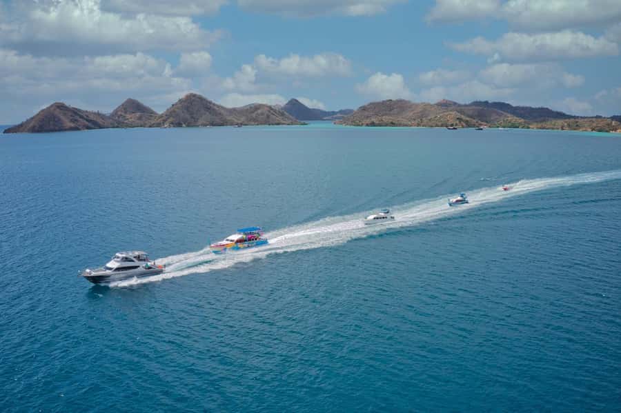 One-Day Komodo Tour By Speedboat - Pink Beach: short swim, strong color