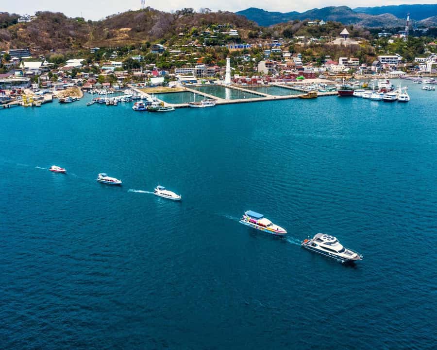 One-Day Komodo Tour By Speedboat - Komodo Island and the dragon encounter