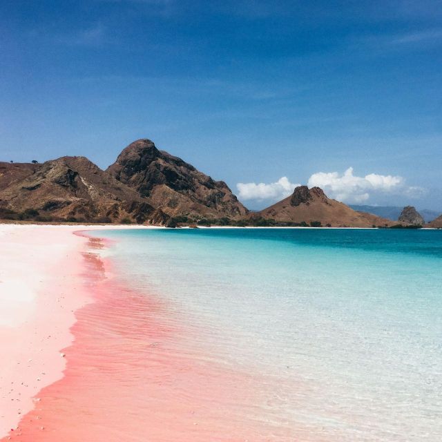 One-Day Komodo Tour By Speedboat - Taka Makasar and Manta Point