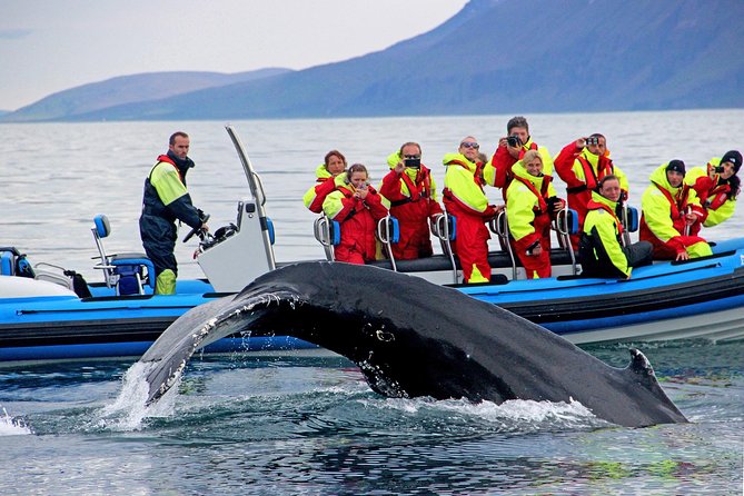 Original Big Whale Safari & Puffins Speedboat Tour from Húsavík - Getting suited up for the two-hour RIB ride