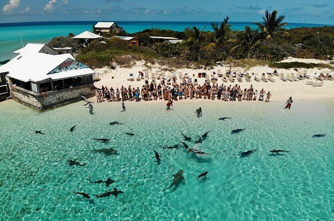 Original Exuma Powerboat Adventures - Snorkeling, stingrays, sharks, and swimming pigs