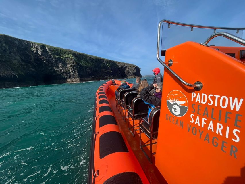 Padstow: Guided RIB Sealife Safari - What the two hours feel like