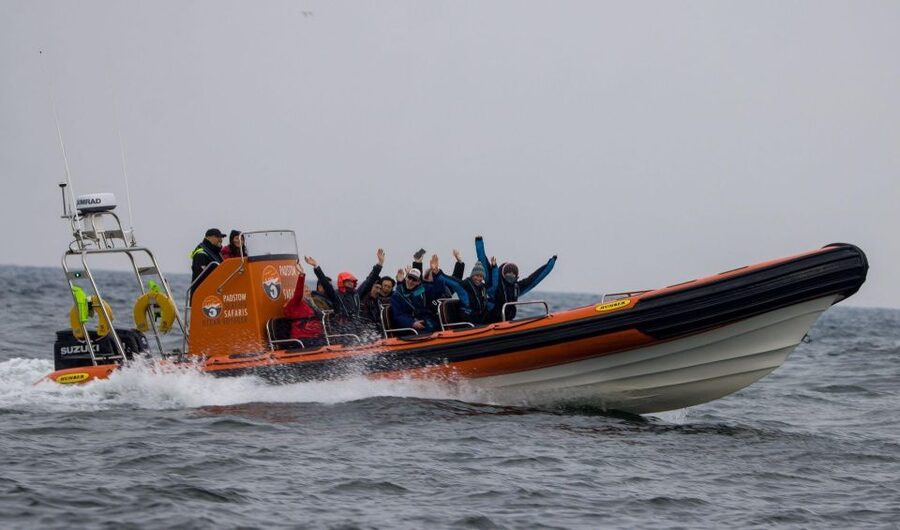 Padstow: Guided RIB Sealife Safari - The open Atlantic ride and the 25-mile route