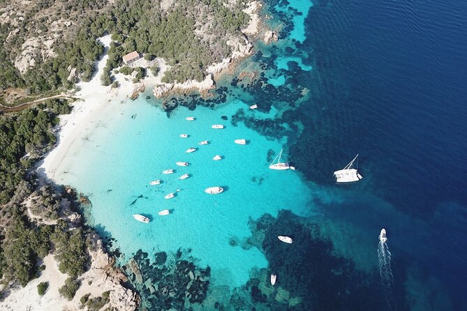 Palau or La Maddalena: 4-hour RIB tour of the archipelago - What the $60.08 Price Covers