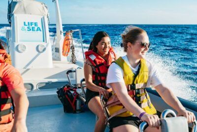 Palma Bay: 1-Hour Speedboat Adventure