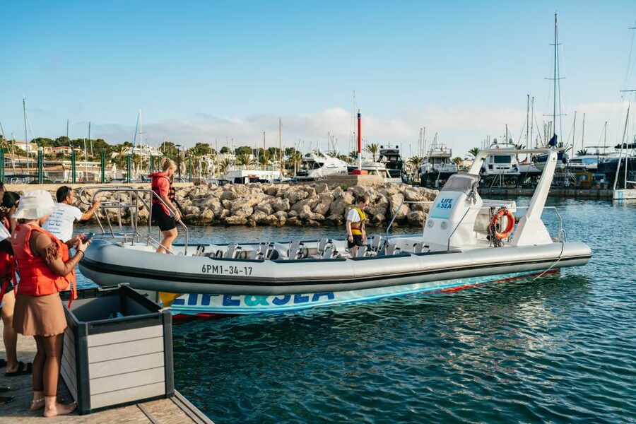 Palma Bay: 1-Hour Speedboat Adventure - The swim stop near the rocks