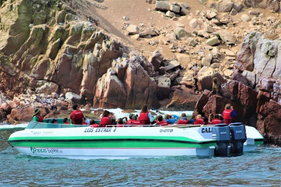 Paracas: speedboat BALLESTAS ISLANDS TOUR - Five things to know before you go