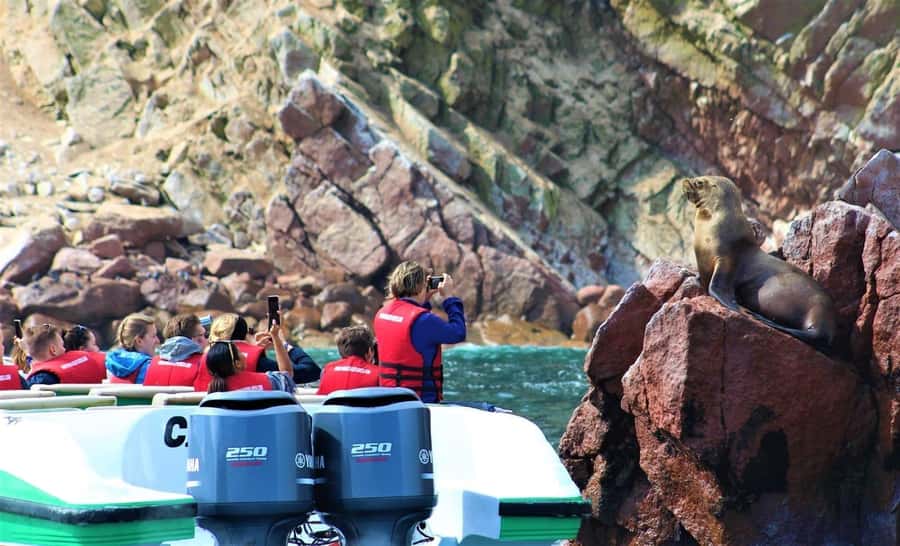 Paracas: speedboat BALLESTAS ISLANDS TOUR - Reaching the three Ballestas Islands
