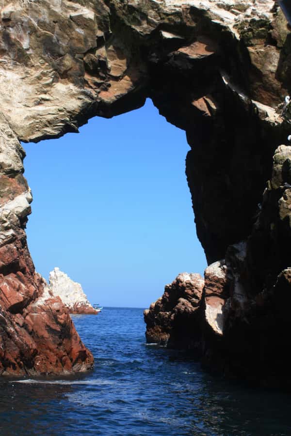 Paracas: speedboat BALLESTAS ISLANDS TOUR - Wildlife packed into one coastal stop